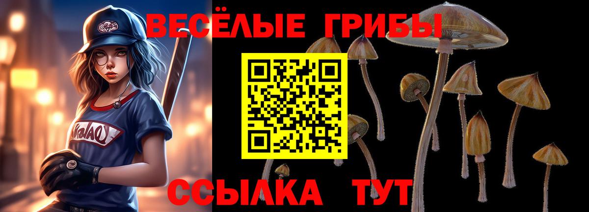 купить наркотики сайты  Галлюциногенные грибы Magic Shrooms  Вход с VPN  Новороссийск 